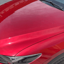 DIAGNÓSTICO DE PLANCHADO Y PINTURA