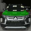 INSTALACIÓN DE PPF CAPO